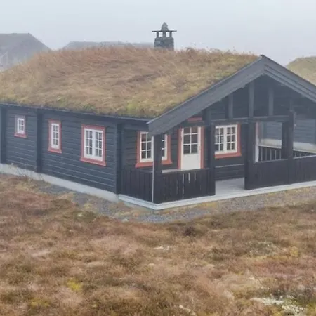 Mountain For 6 - Voringsfossen And Hardangervidda Semesterbostad